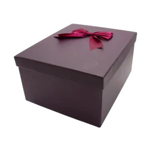 باکس کادویی مستطیلی پاپیون دار سایز بزرگ - رنگ بنفش